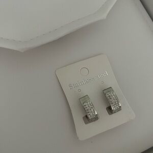 Stainless Steel Silver Earrings